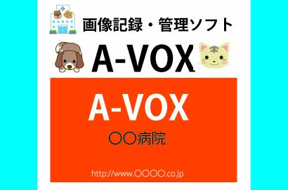 画像記録・管理ソフト<br />A-VOX